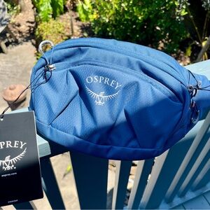 OSPREY Daylite Waist Wave 2L pack NWT